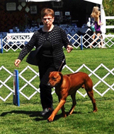 Zimba